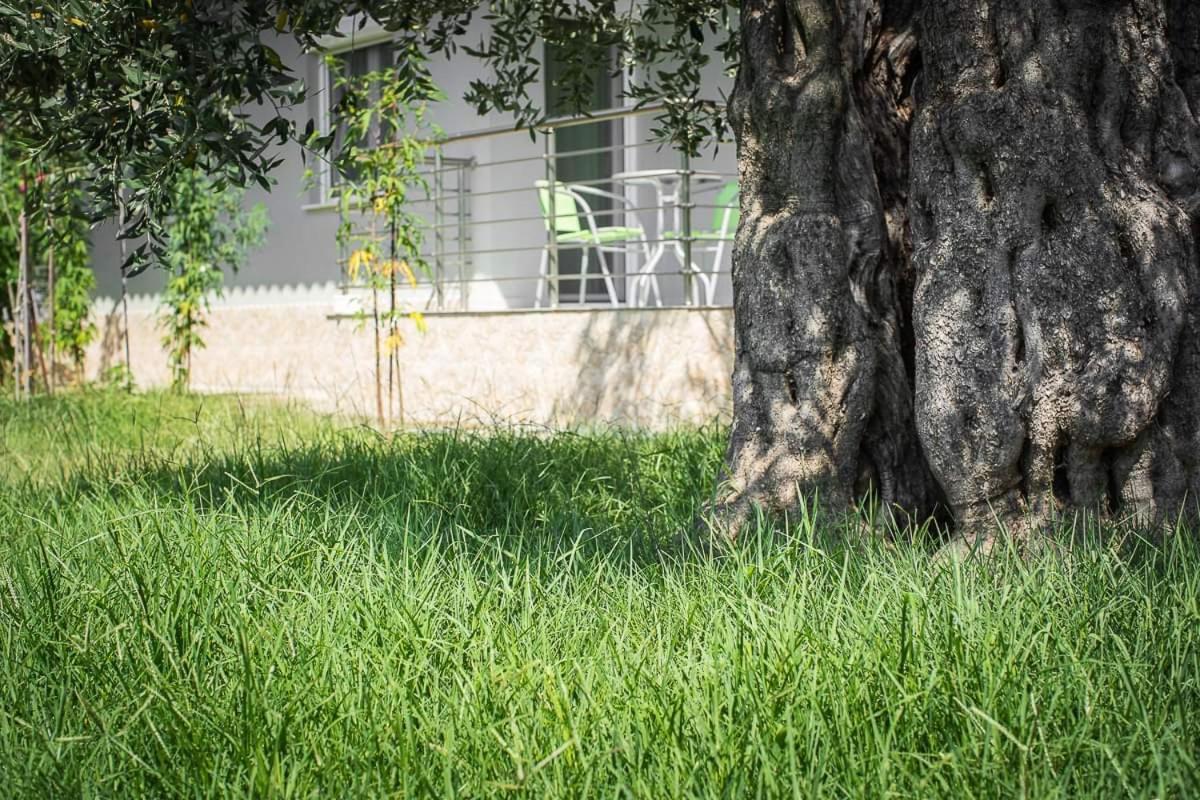 Mougkrasstudio Apartment Skala Rachoni  Luaran gambar